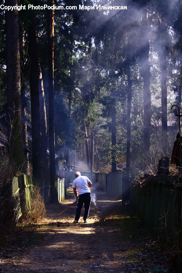 People, Person, Human, Dirt Road, Gravel, Road, Forest