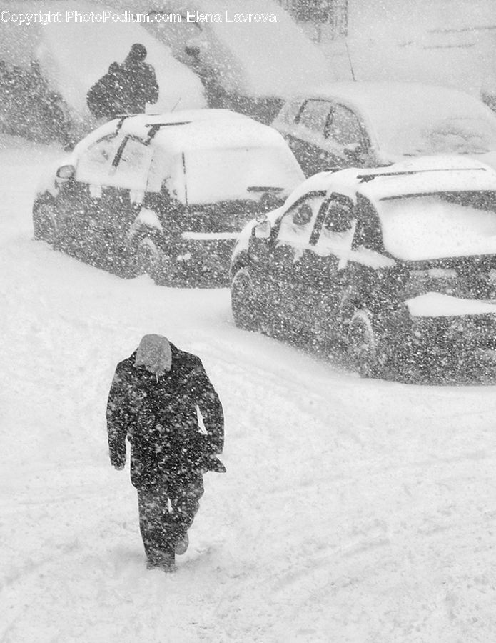 Blizzard, Outdoors, Snow, Weather, Winter