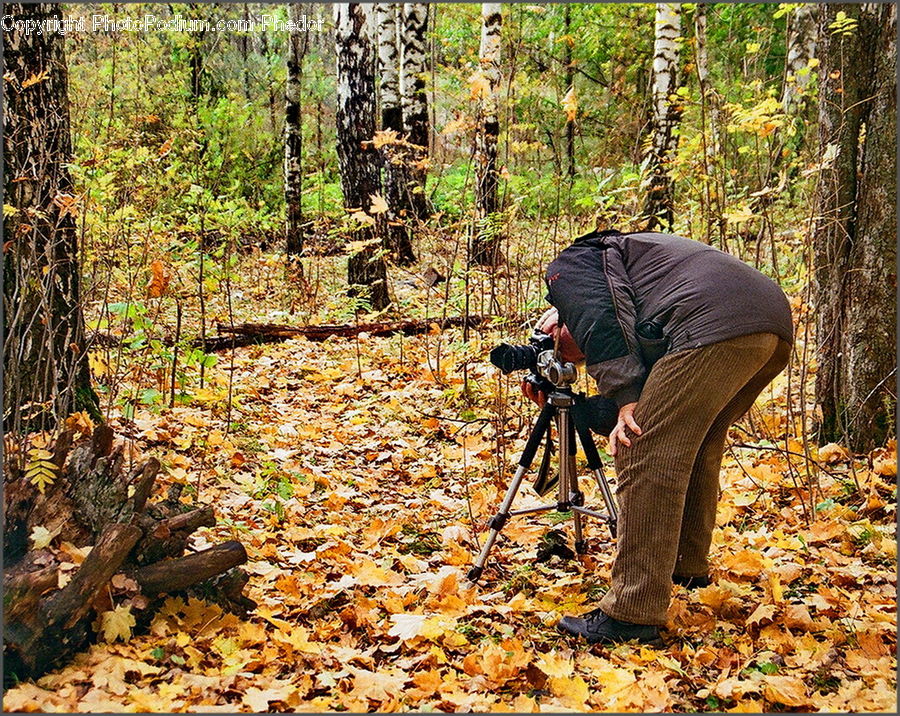 People, Person, Human, Photographer, Tripod, Bench, Forest