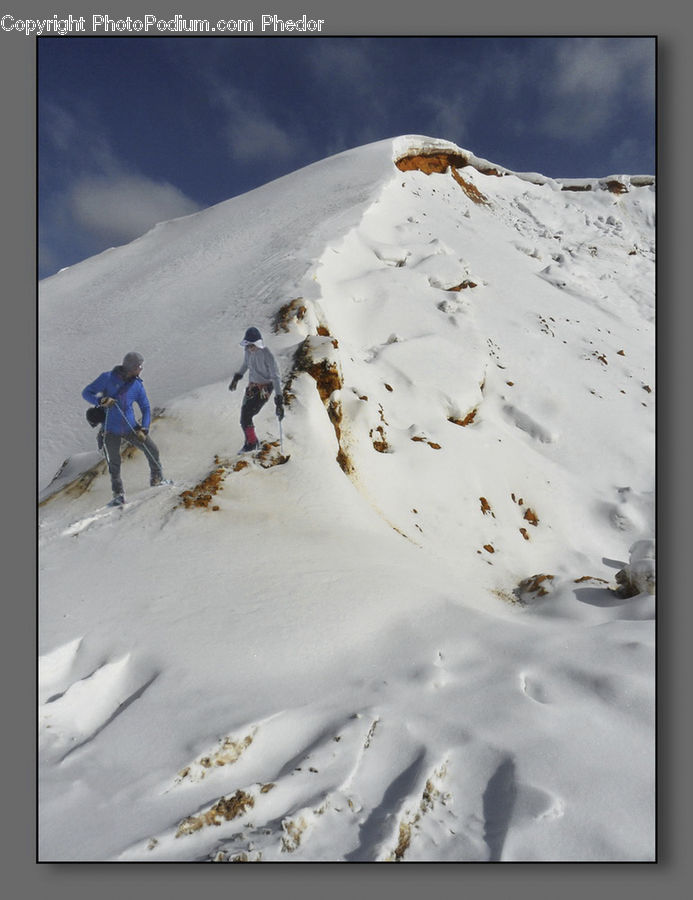 Piste, Skiing, Slide, Snow, Sport, Bird, Grouse