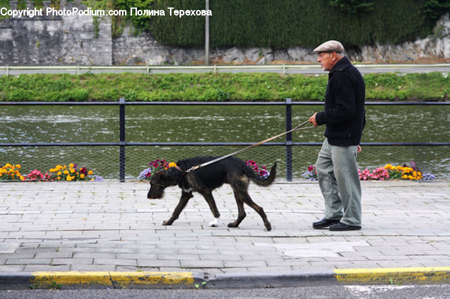 Human, People, Person, Leisure Activities, Walking