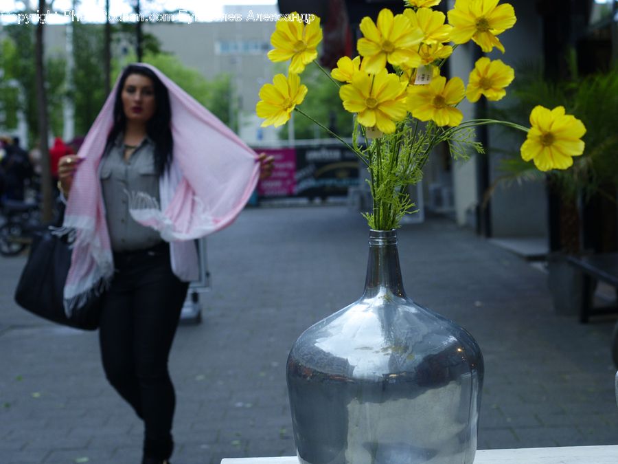 Human, People, Person, Plant, Potted Plant, Blossom, Daffodil