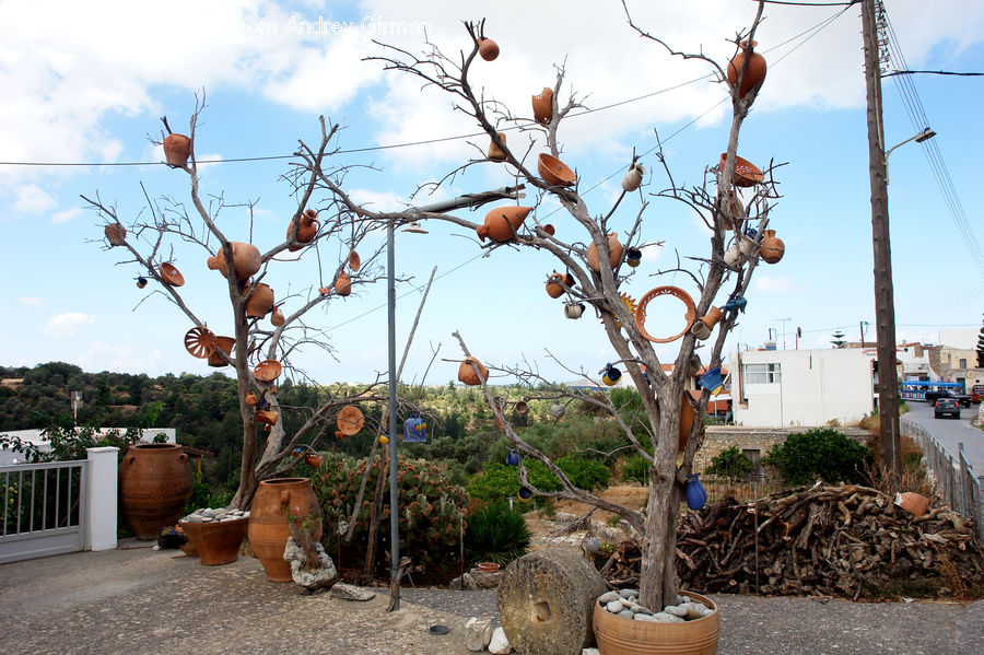 Plant, Potted Plant, Jar, Pot, Urn, Vase, Pottery