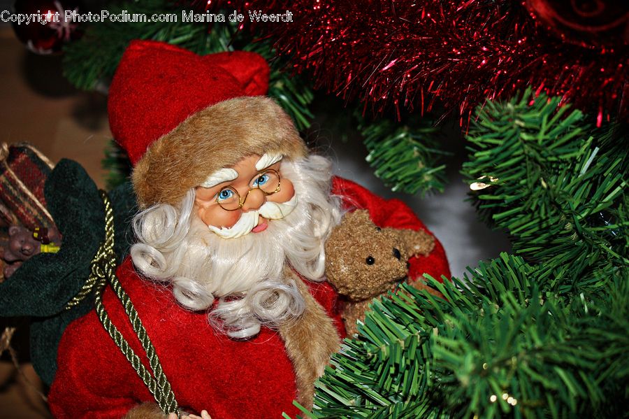 Conifer, Fir, Plant, Tree, Ornament, Potted Plant, Knitting