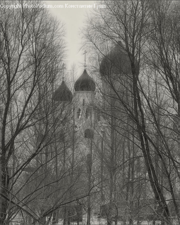 Architecture, Tower, Ice, Outdoors, Snow, Plant, Tree