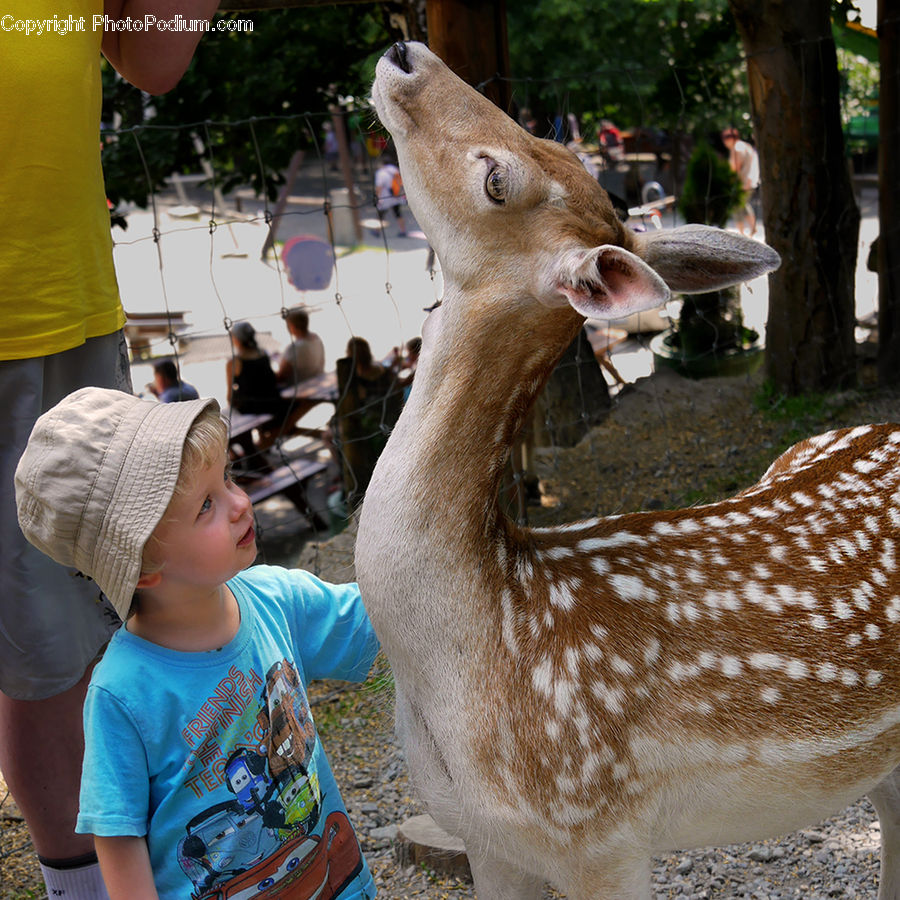 People, Person, Human, Animal, Deer, Mammal, Wildlife