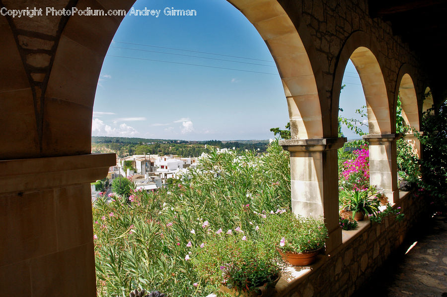 Plant, Potted Plant, Herbal, Herbs, Planter, Arch, Patio