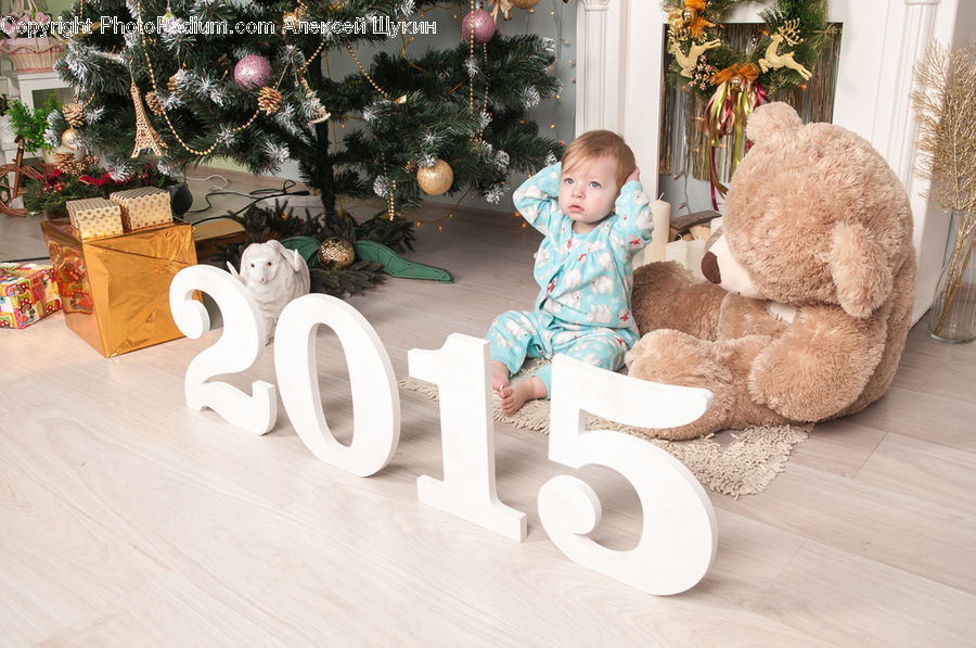 People, Person, Human, Teddy Bear, Toy, Plant, Potted Plant