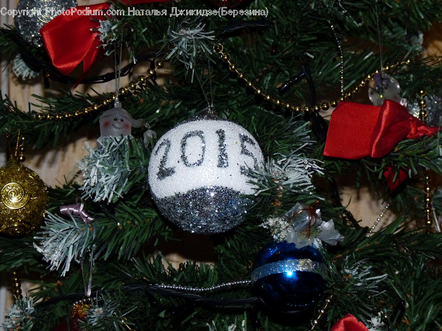 Ornament, Conifer, Fir, Plant, Tree, Blossom, Flower