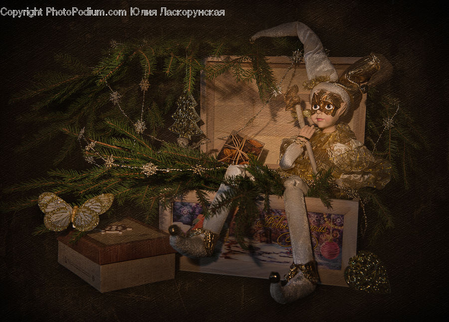 Plant, Potted Plant, Gift, Conifer, Fir, Tree, Art
