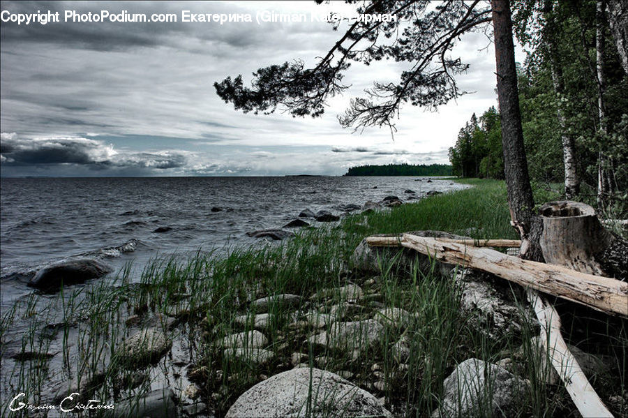 Coast, Outdoors, Sea, Water, Rock, Field, Grass