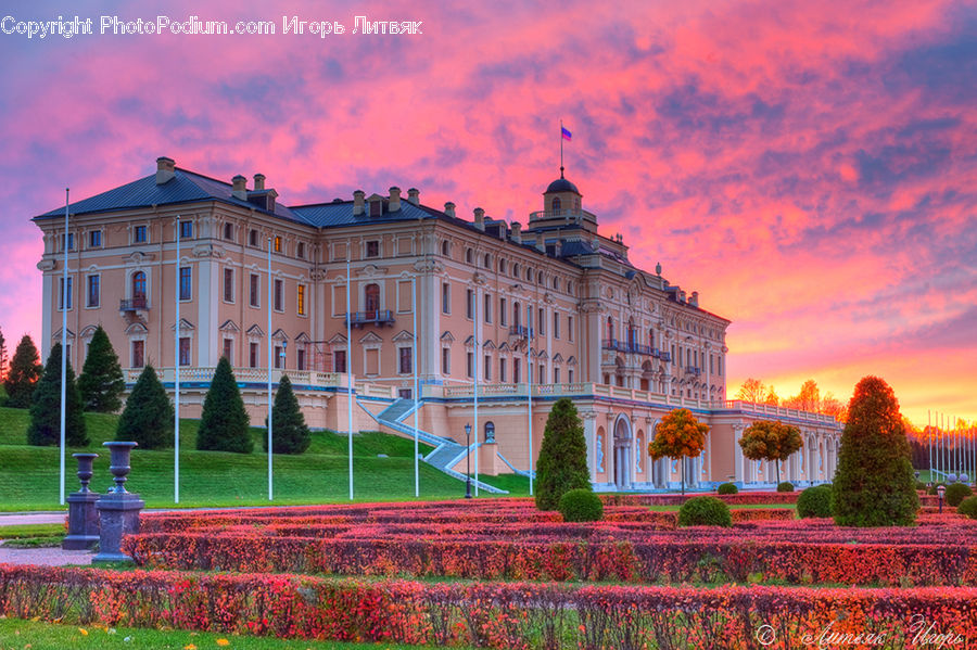 Architecture, Mansion, Bush, Plant, Vegetation, Castle, Palace