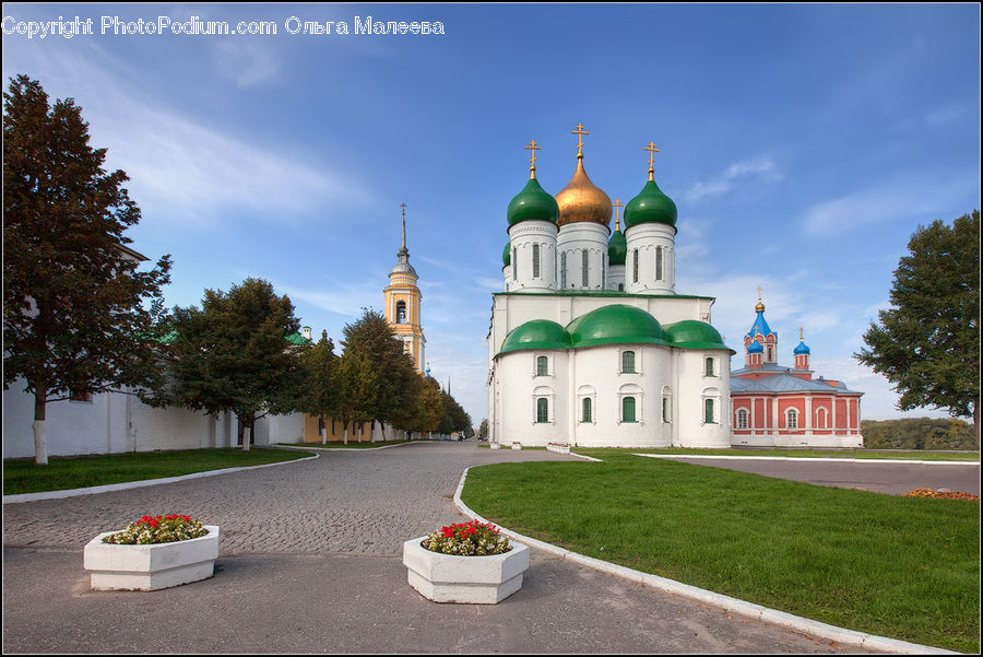 Planter, Potted Plant, Architecture, Cathedral, Church, Worship, Housing
