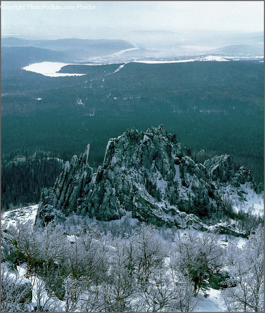 Conifer, Fir, Plant, Tree, Ice, Outdoors, Snow