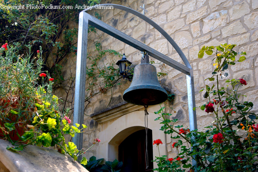 Balcony, Plant, Vine, Blossom, Flora, Flower, Garden
