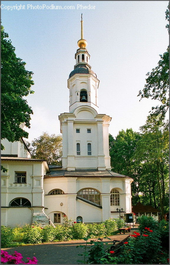 Plant, Potted Plant, Architecture, Bell Tower, Clock Tower, Tower, Fence