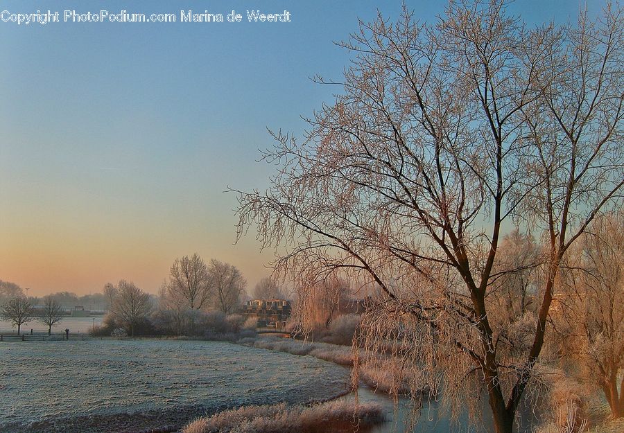Frost, Ice, Outdoors, Snow, Landscape, Nature, Scenery