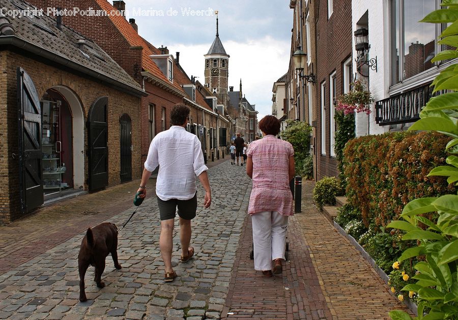 Human, People, Person, Back, Cobblestone, Pavement, Walkway