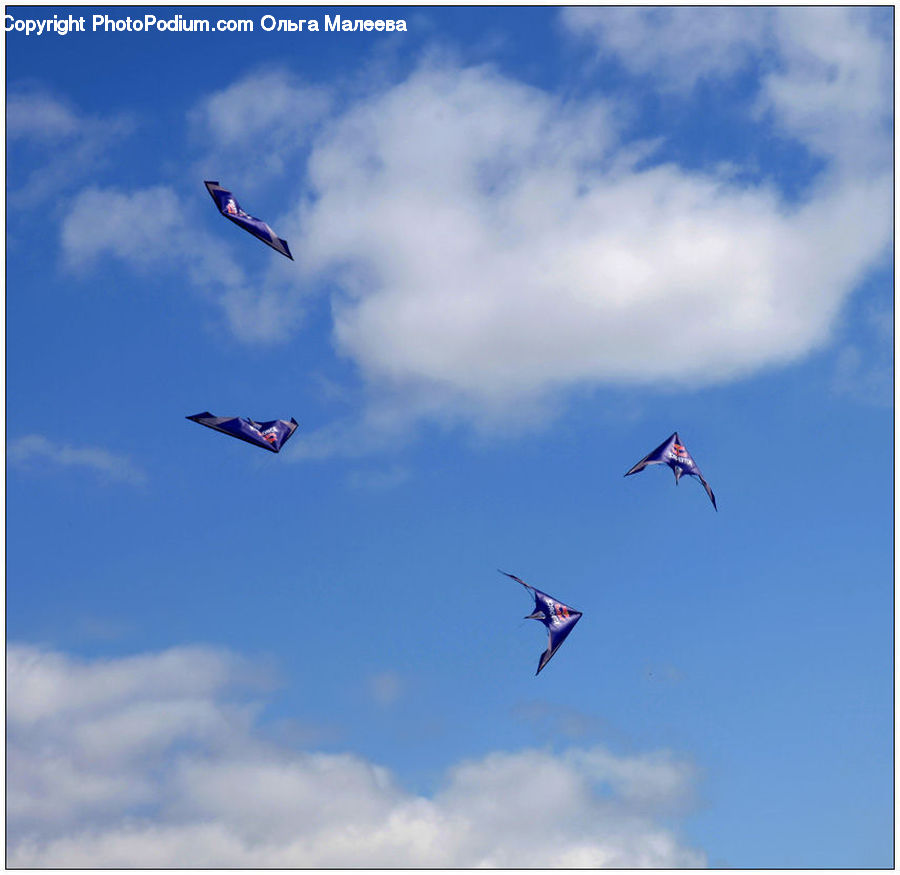 Adventure, Flight, Gliding, Flying