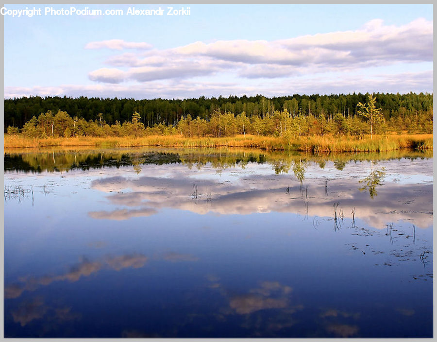Lake, Outdoors, Water, Land, Marsh, Pond, Swamp