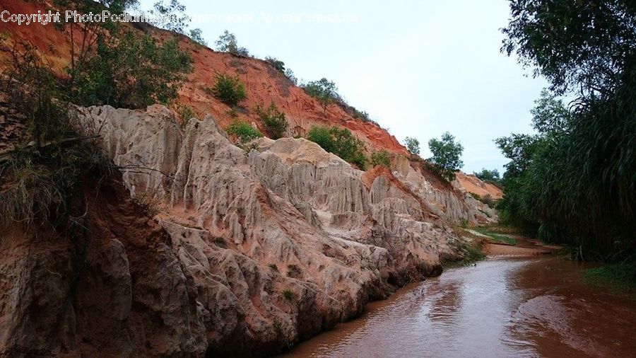 Outdoors, River, Water, Flood, Forest, Jungle, Rainforest
