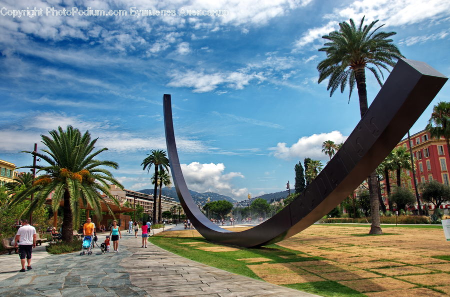 Palm Tree, Plant, Tree, Furniture, Hammock, Arecaceae, Summer