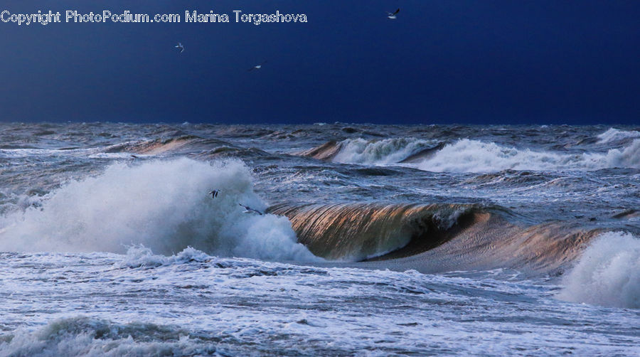 Outdoors, Sea, Sea Waves, Water, Beach, Coast, Arctic