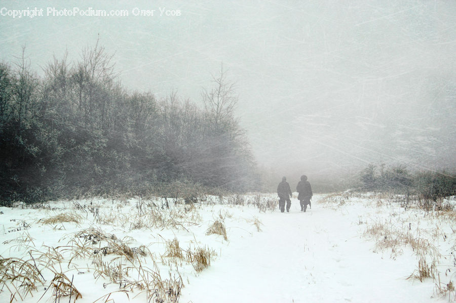 Blizzard, Outdoors, Snow, Weather, Winter, Dirt Road, Gravel