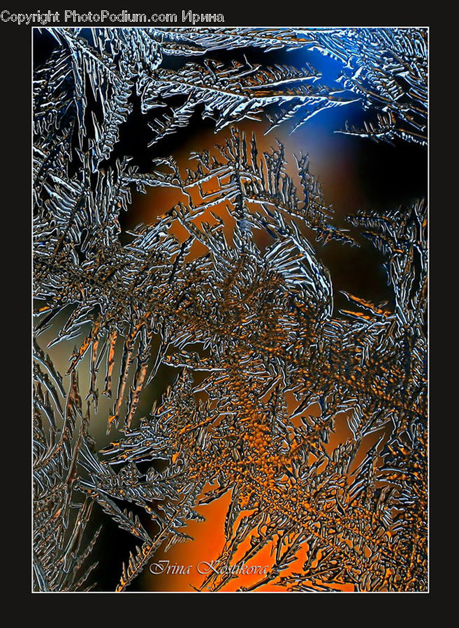 Art, Modern Art, Coral Reef, Outdoors, Reef, Sea, Sea Life