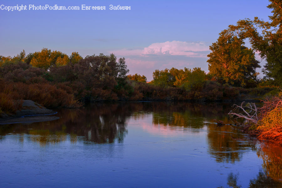 Lake, Outdoors, Water, Land, Marsh, Pond, Swamp
