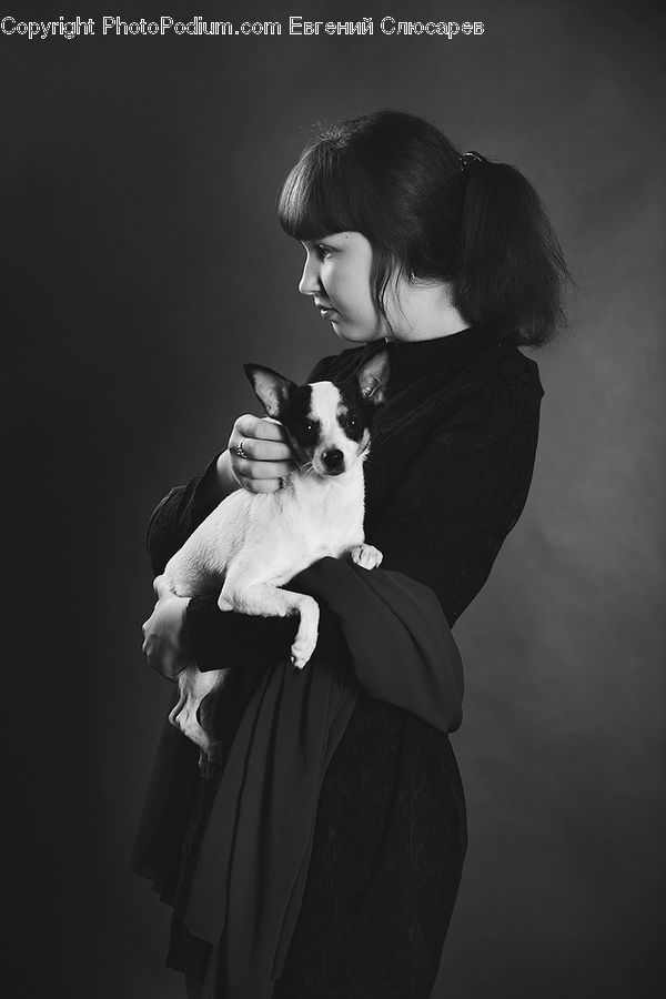 People, Person, Human, Animal, Canine, Chihuahua, Dog