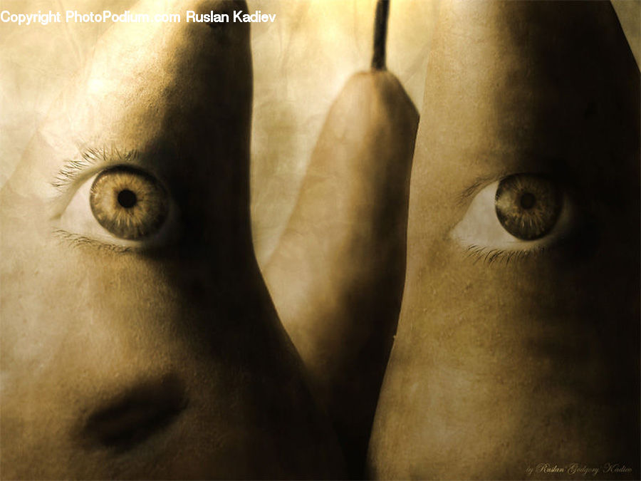 Human, Head, Portrait, Art, Modern Art, Face