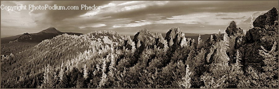 Conifer, Fir, Plant, Tree, Rock, Ruins, Mountain