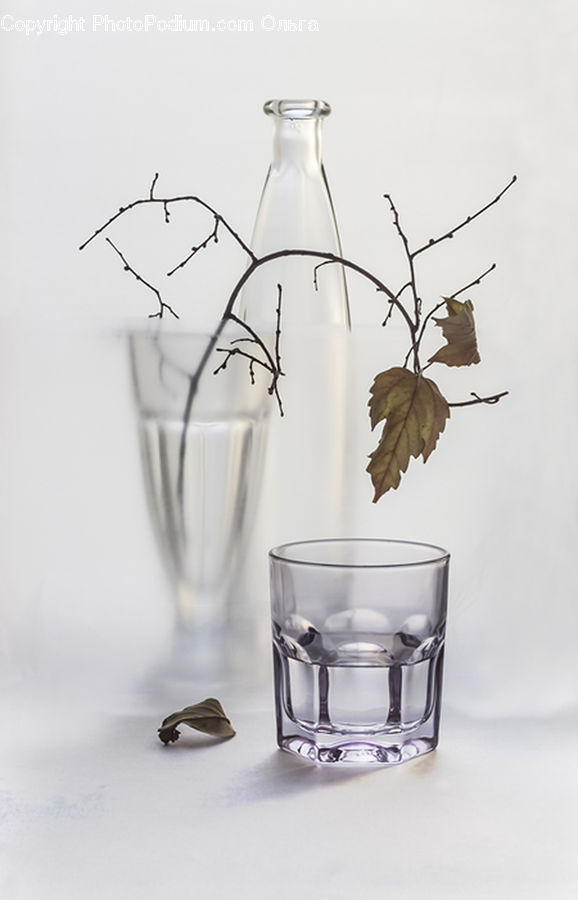 Glass, Leaf, Plant, Maple, Maple Leaf, Oak, Sycamore