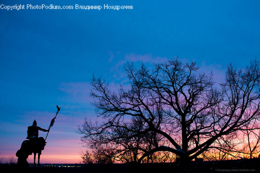 Silhouette, Leisure Activities, Exercise, Fitness, Jogging, Plant, Tree