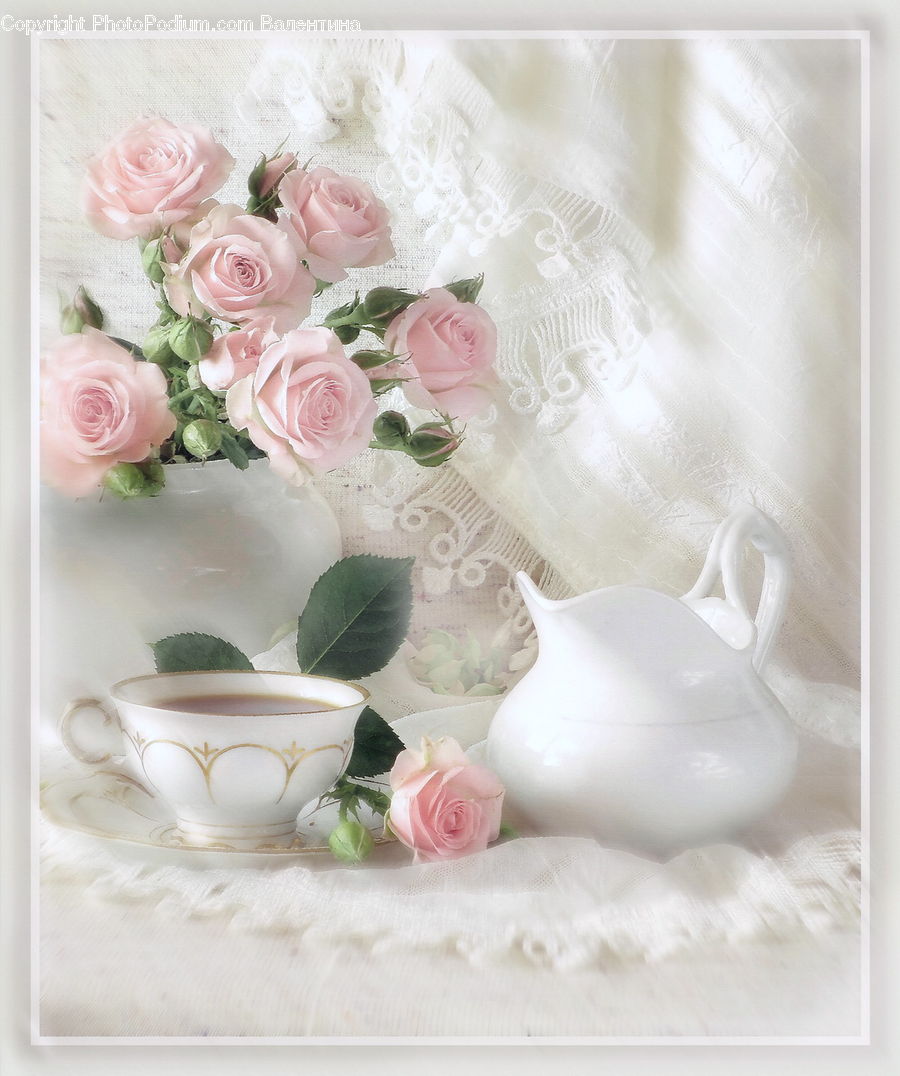 Blossom, Flower, Plant, Rose, Peony, Herbs, Mint