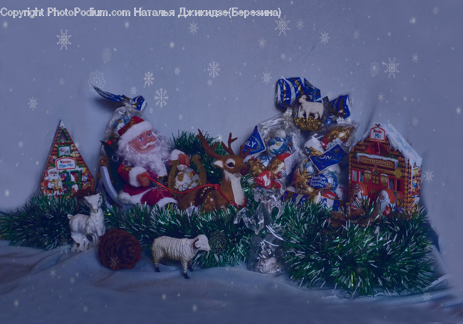 Animal, Mammal, Tiger, Adorable, Carnival, Festival, Parade