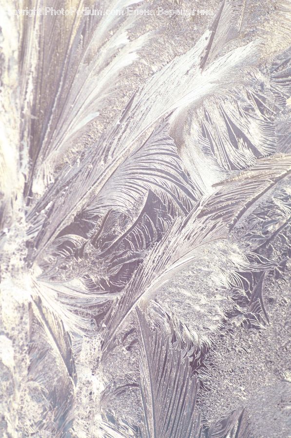 Frost, Ice, Outdoors, Snow
