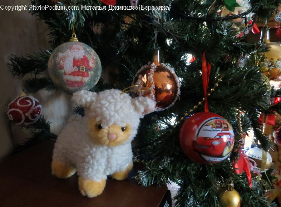 Ornament, Teddy Bear, Toy, Head, Portrait, Conifer, Fir