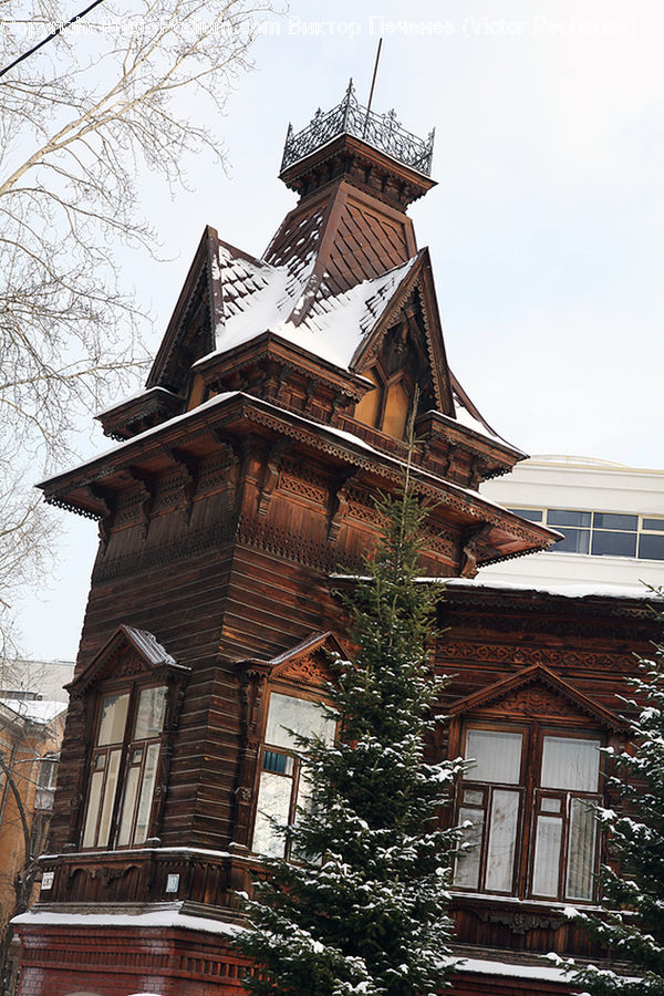 Brick, Architecture, Tower, Spire, Steeple, Conifer, Plant