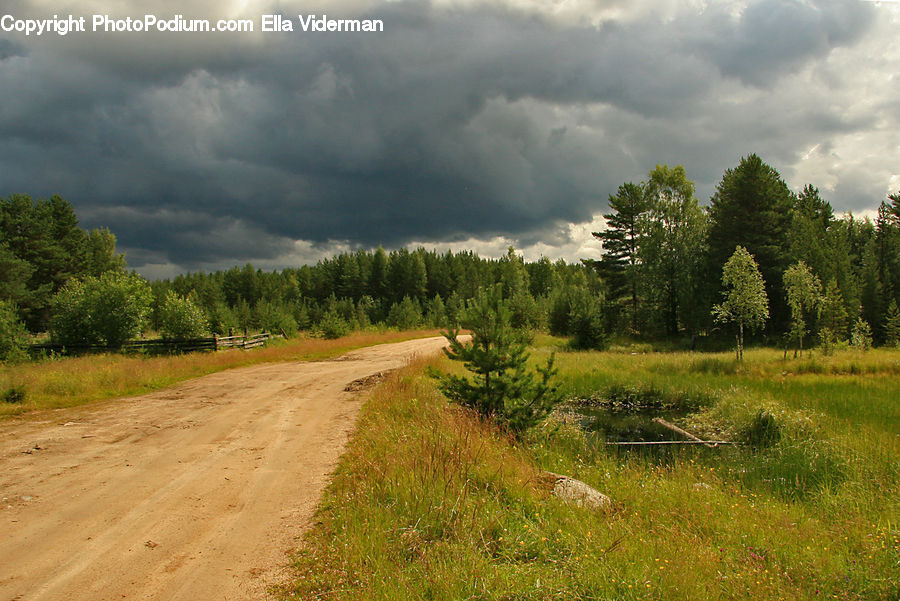 Dirt Road, Gravel, Road, Field, Grass, Grassland, Land