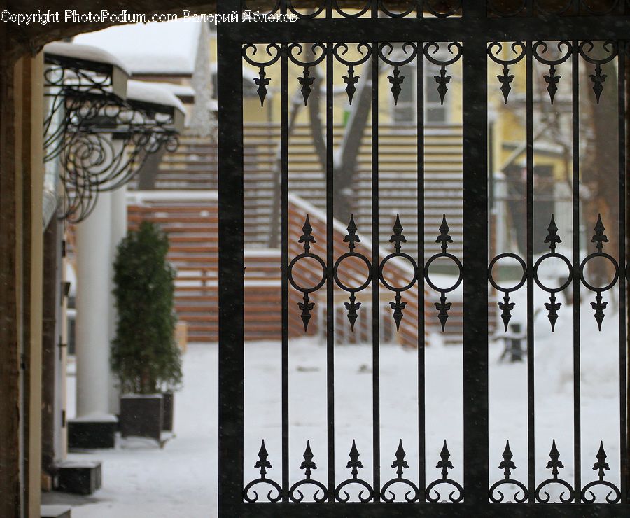 Bush, Plant, Vegetation, Railing, Banister, Handrail, Balcony