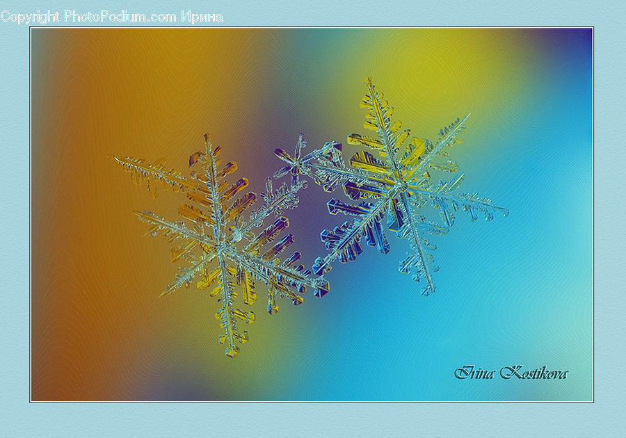 Dill, Plant, Conifer, Fir, Tree, Art, Modern Art