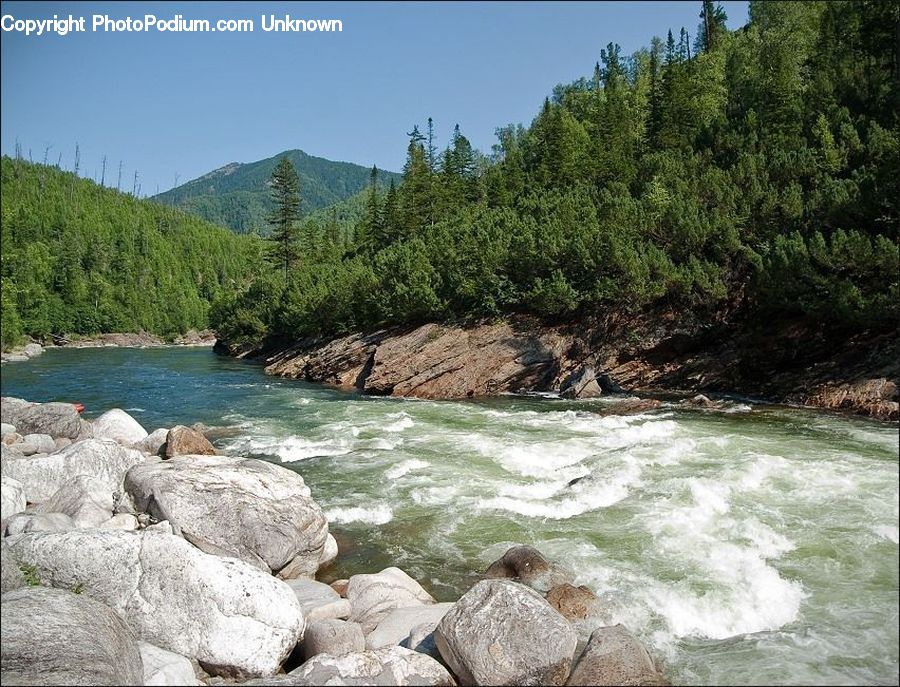 Rock, Outdoors, River, Water, Creek, Bush, Plant