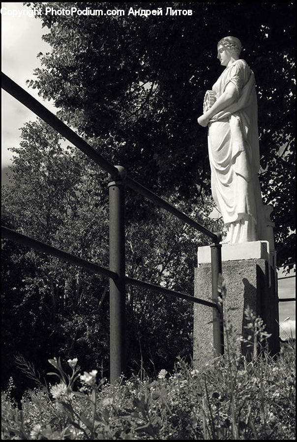 People, Person, Human, Tomb, Tombstone, Cross, Blossom