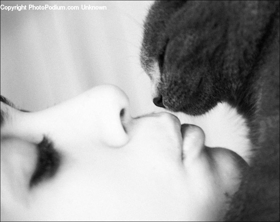 Asleep, Hug, Kiss, Baby, Child, Kid, Newborn