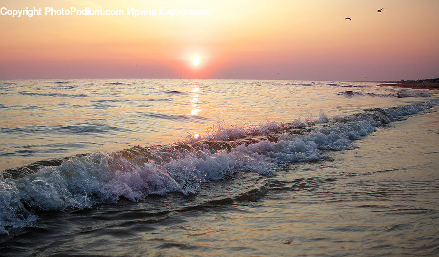 Beach, Coast, Outdoors, Sea, Water, Ocean, Sea Waves