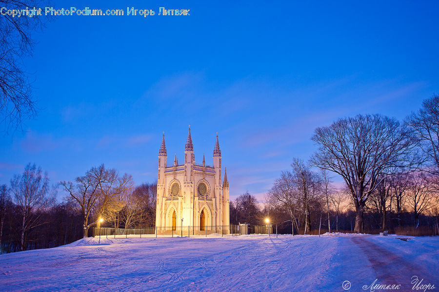 Architecture, Mansion, Building, Forest, Vegetation, Parliament, Ice
