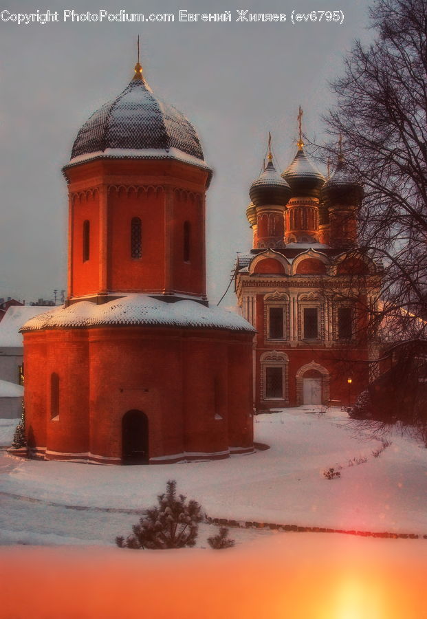 Architecture, Bell Tower, Clock Tower, Tower, Plant, Tree, Dome