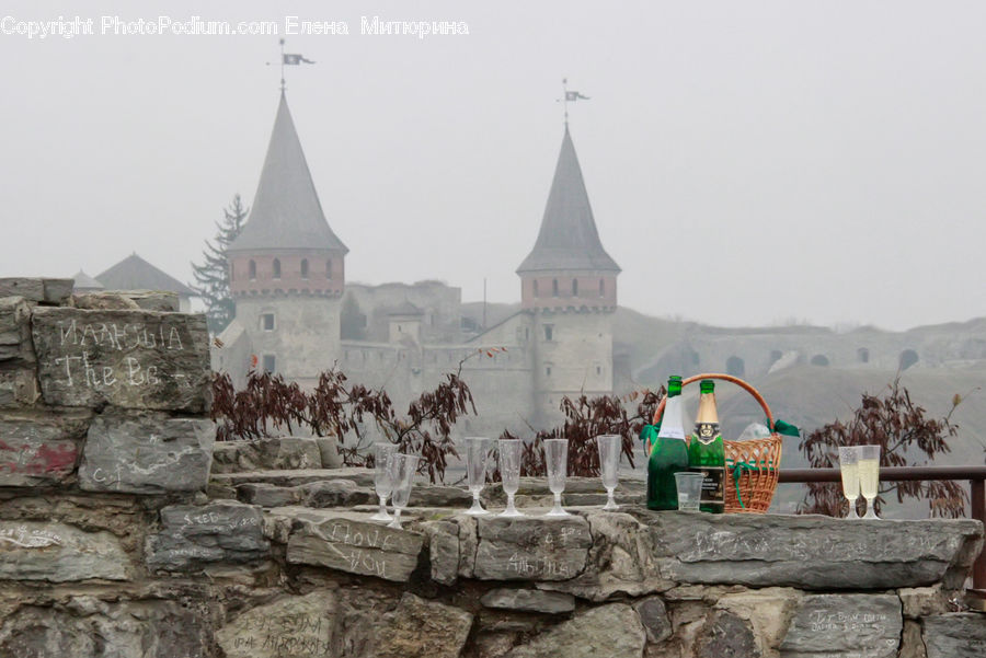 Architecture, Spire, Steeple, Tower, Plant, Potted Plant, Rubble